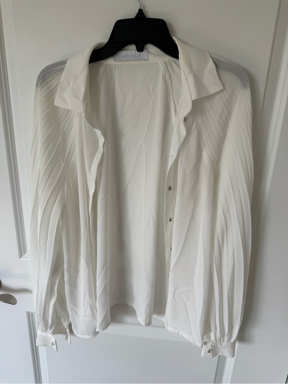 Carla Ruiz Pleated Sheer Blouse Size 42